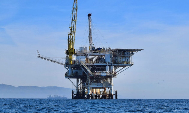 Αντιδρά το WWF Ελλάς στις σεισμογραφικές έρευνες στη Μεσόγειο