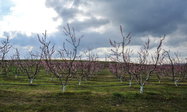 Weather forecast: Partly cloudy on Tuesday