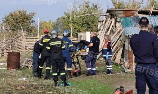 Λάρισα: Δέντρο καταπλάκωσε και σκότωσε γυναίκα