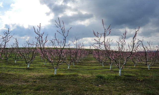 Καιρός: Συννεφιασμένη η Δευτέρα - Η πρόγνωση μέχρι το Σάββατο (pics)
