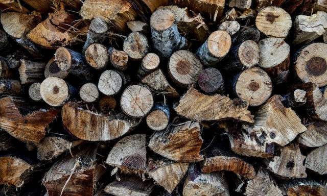 Αυξήσεις 50% στις τιμές των καυσόξυλων – Φόβοι για ελλείψεις