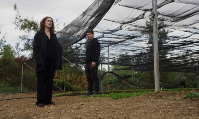 Η Γη της Ελιάς: Ο Παναγιώτης θέλει να καταστρέψει τους Στεφανέους