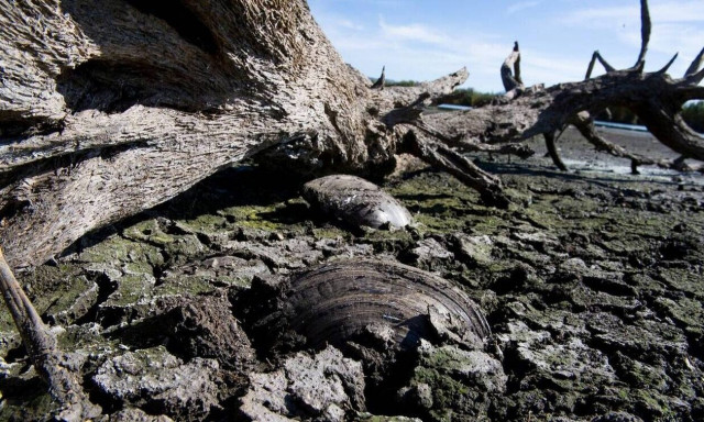 Βρυξέλλες: Ηχηρό μήνυμα για την αντιμετώπιση της κλιματικής κρίσης