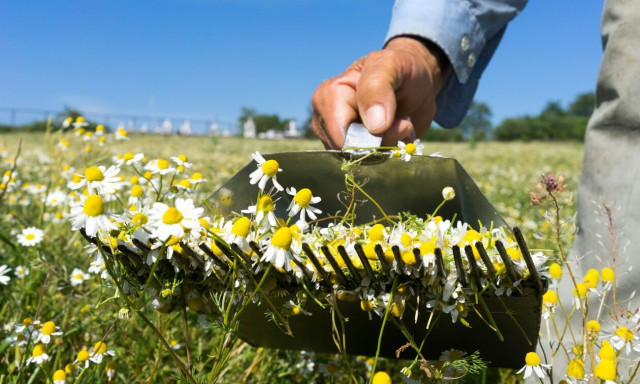 Παράταση στην προθεσμία των αιτήσεων για τις ενισχύσεις στα λιπάσματα