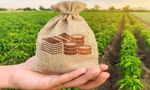 Αυξημένη κατά 14 εκατ. ευρώ η Εξισωτική Αποζημίωση