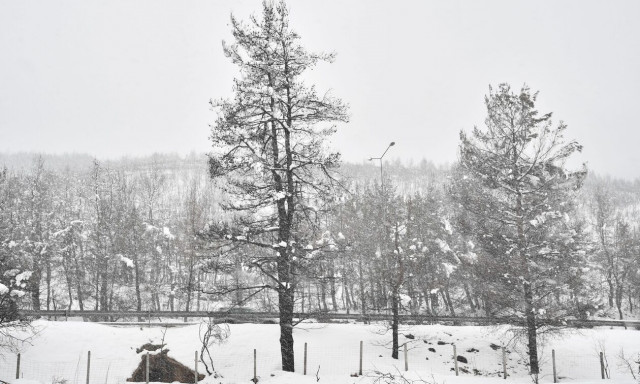 Καιρός: Χιόνια την Κυριακή - Οι προβλέψεις των μετεωρολόγων