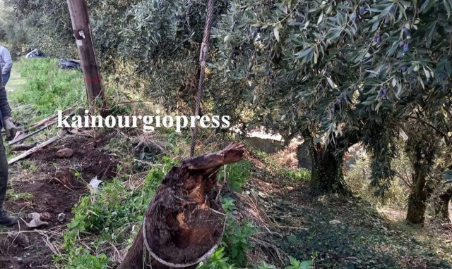 Αιτωλοακαρνανία: Αυτοκίνητο έκοψε κολώνα της Δ.Ε.Η. - Άφαντος ο οδηγός