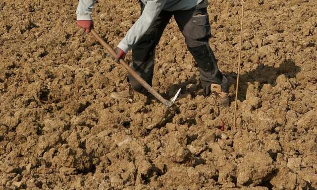 Λαρισαίος αγρότης έκρυβε αρχαία αξίας χιλιάδων ευρώ στην αυλή του