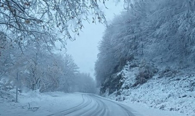 Έπεσαν τα πρώτα χιόνια στο Πήλιο - Μαγευτικές εικόνες