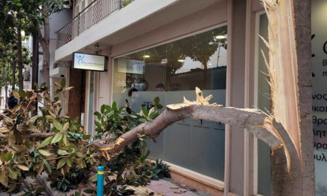 Λάρισα: Φορτηγό «θέρισε» δέντρο για να περάσει στον δρόμο