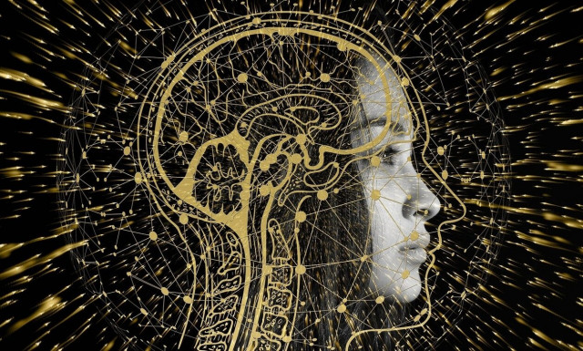 Έρευνα: Ο ενήλικος εγκέφαλος περιέχει εκατομμύρια σιωπηλές συνάψεις