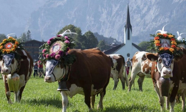 Αυστρία: Αντιδράσεις για διαφήμιση που σερβίρεται καφές με γάλα βρώμης