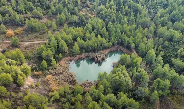 Μαυροσουβάλα: Το εκπληκτικό αξιοθέατο που δημιούργησε η φύση