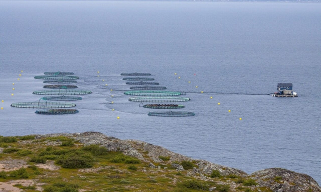 Ταμείο Ανάκαμψης: Έναρξη αιτήσεων για την ενίσχυση υδατοκαλλιεργειών