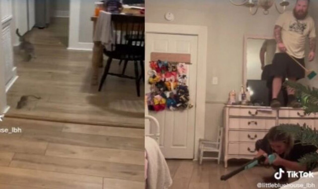 Ζευγάρι αντιμετωπίζει αρουραίο: Η γυναίκα άρπαξε την καραμπίνα