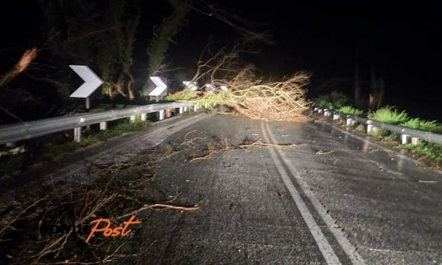 Κακοκαιρία Gaia: Κλειστοί δρόμοι από πτώσεις δέντρων στα Ιωάννινα