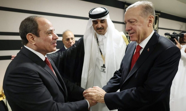 Τσίμπημα… Σφήκας στον Ερντογάν