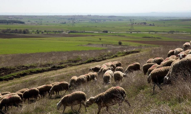 Εξισωτική αποζημίωση: Μέχρι πότε υποβάλλονται οι ενστάσεις