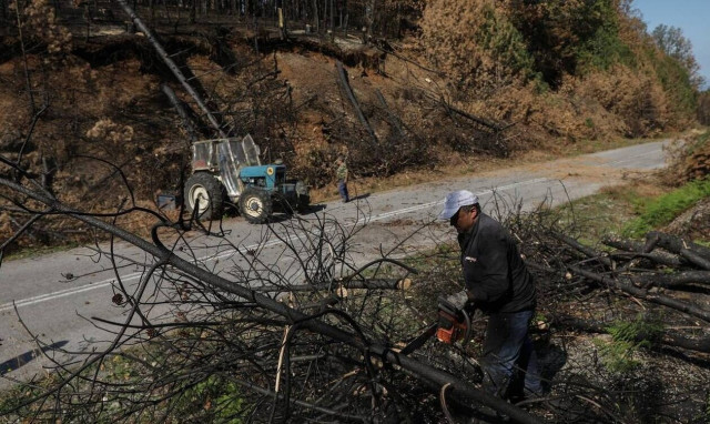 Εύβοια: Ξεκινά χορήγηση ενίσχυσης στις πυρόπληκτες επιχειρήσεις