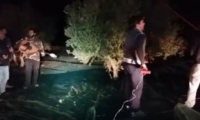 Κρήτη: Βγήκαν να μαζέψουν ελιές μέσα στη νύχτα και το γλέντησαν