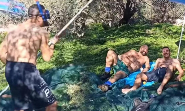 Κρητικοί σε λιόφυτο με μαγιό, ομπρέλα θαλάσσης και... αντηλιακό!