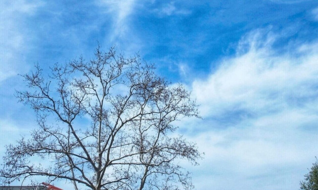 Καιρός: Λίγη συννεφιά και ομίχλες - Πού θα σημειωθεί παγετός