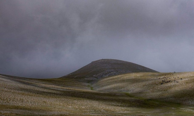 Missing climber found unconscious in gorge on Mt. Olympus