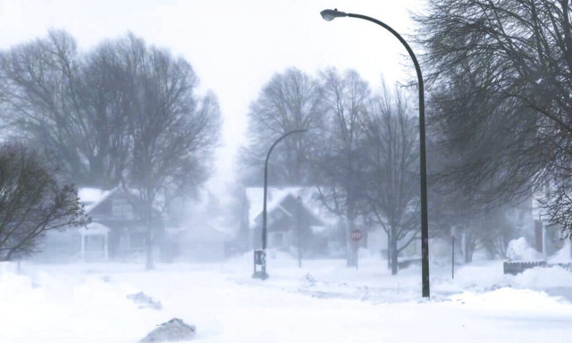 Σαρώνει τις ΗΠΑ η κακοκαιρία: Πάγωσαν τα ζώα από το δριμύ ψύχος