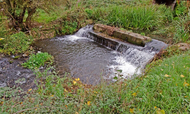 Θλιβερή εικόνα στο Ρέθυμνο: Έριξαν νεκρό πρόβατο μέσα σε ρέμα!