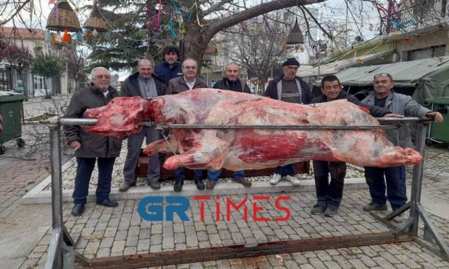 Στον Έβρο η μεγαλύτερη σούβλα της χρονιάς με μοσχάρι 360 κιλών