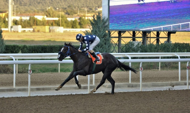 Markopoulo Park: Ένδεκα νικητές στο ΣΚΟΡ 6 κέρδισαν από 2.332 ευρώ