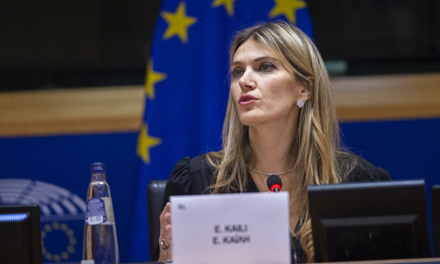 Εύα Καϊλή: Ο δικηγόρος της, Μιχάλης Δημητρακόπουλος διαψεύδει τις φήμες περί εγκυμοσύνης