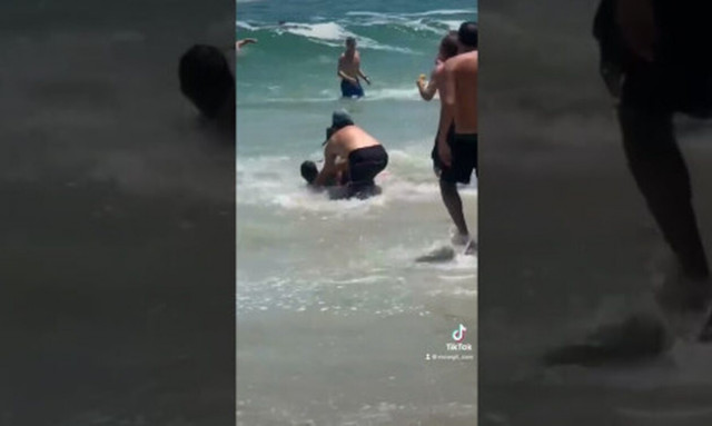 Νότια Αφρική: Πανικός σε παραλία - Φώκια πήρε στο κυνήγι λουόμενους