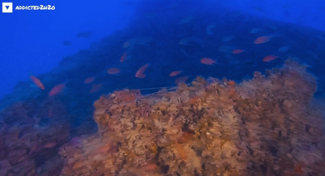 Ξυλόκαστρο: Δύτες εξερεύνησαν το άγνωστο ναυάγιο ενός ρυμουλκού