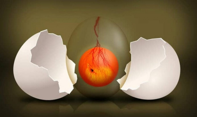 Τα 27 έτη η μέση ηλικία απόκτησης παιδιών τα τελευταία 250.000 χρόνια