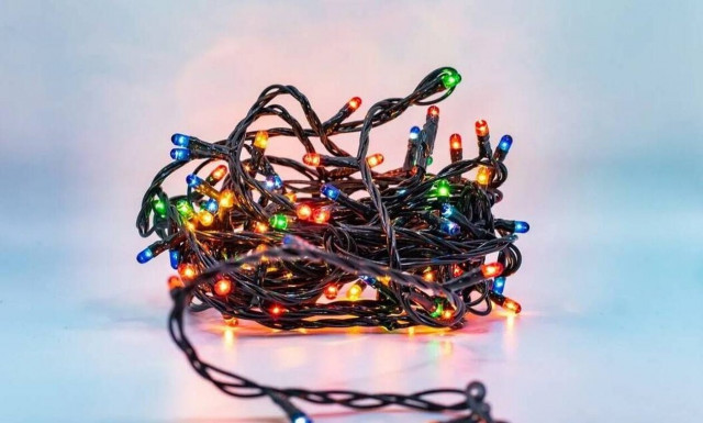 Κάμερα την «έπιασε» να κλέβει χριστουγεννιάτικα λαμπάκια από αυλή