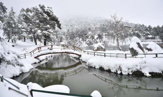 Μαρουσάκης στο Newsbomb.gr: «Θα δούμε χιόνια ακόμα και σε πόλεις»