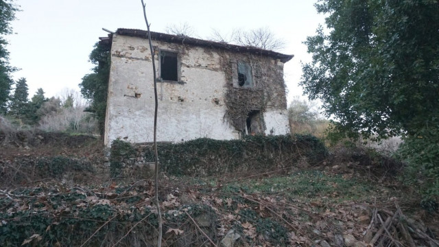 Δάσος Πολυδενδρίου, Λάρισα: Πώς είναι σήμερα τα πρώην βασιλικά κτήματα