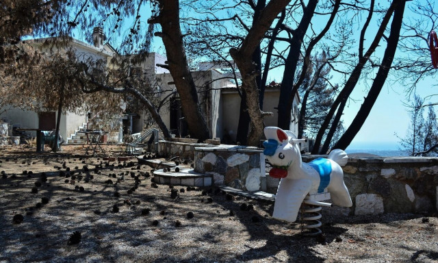 Μάτι: «Η έξι μηνών εγγονή μου ξεψύχησε στα σκαλιά του νοσοκομείου» - Συγκλονιστική κατάθεση