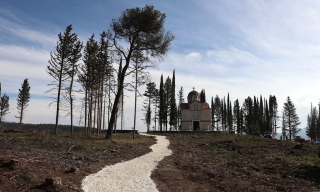 Τέως βασιλιάς Κωνσταντίνος: Πώς αναμόρφωσαν τα πρώην βασιλικά κτήματα για την ταφή του