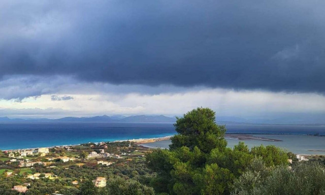 Λευκάδα: Πτώσεις δέντρων λόγω της κακοκαιρίας