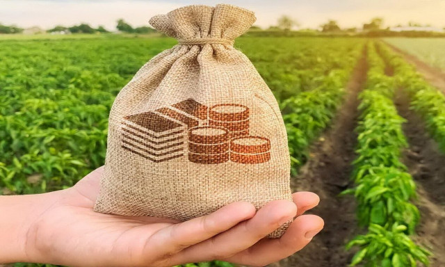 Αγρότες: Ενισχύσεις και αποζημιώσεις σε παραγωγούς διαφόρων καλλιεργειών