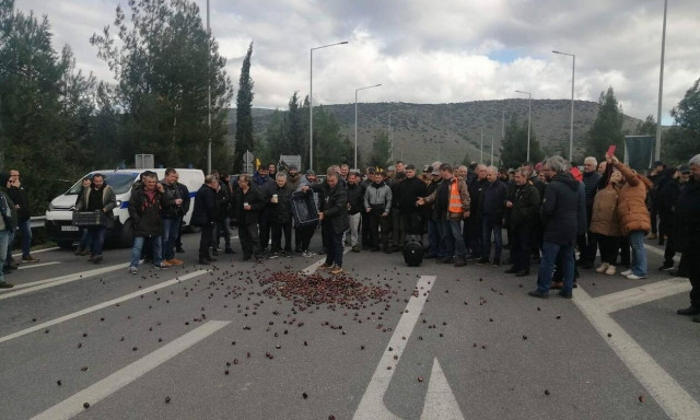 Οργή και απόγνωση από τους καστανοπαραγωγούς της Λάρισας