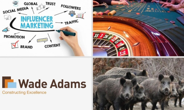 Οι fin-influencer, η Wade Adams και οι αγριόχοιροι της αεροπορίας