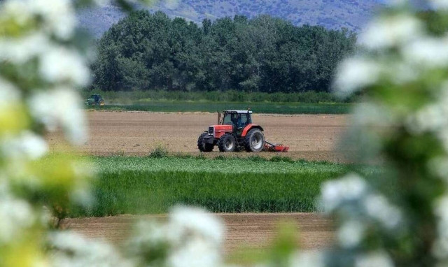 Νέα δέσμη ενισχύσεων de minimis σε καλλιέργειες φυτικού κεφαλαίου