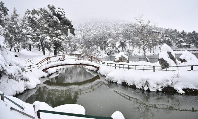 Καιρός: Άνοιξε... κόντρα για το πότε θα πέσουν χιόνια στα πεδινά - «Μην πιστεύετε κανέναν»