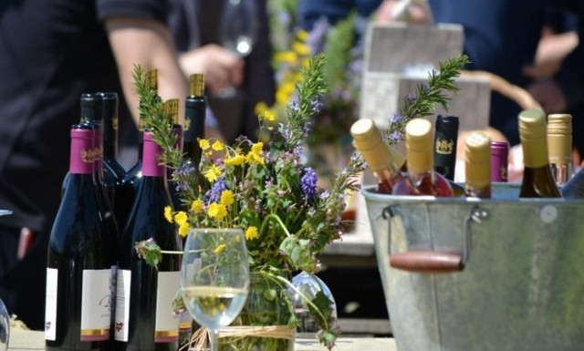 Βουλγαρία: «Ανοιχτές Ημέρες» στα οινοποιεία του Μελένικου από 17 έως 19 Φεβρουαρίου