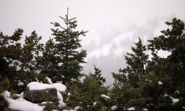 Καιρός: Προειδοποίηση Μαρουσάκης - Έρχεται πολικός αεροχείμαρρος, μπαίνουμε στην καρδιά του Χειμώνα 