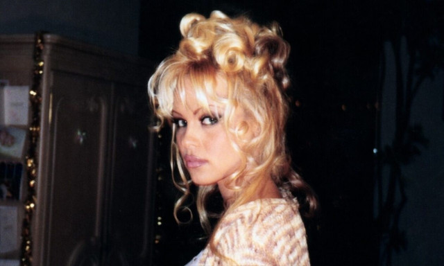 Pamela Anderson Netflix