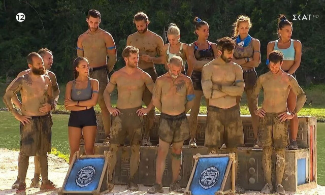 Survivor All Star